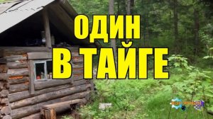 ОДИН В ТАЙГЕ | ОДИНОЧЕСТВО В ЛЕСУ | ОХОТА НА СОБОЛЯ | ПРИЁМ ПУШНИНЫ | ЖИЗНЬ ПРОЖИТА