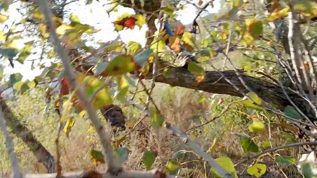 Природа Белой Калитвы-часть 2. " В 1 ЧАСТИ У НАС УПАЛА КАМЕРА " смотреть онлайн