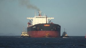 Ship Horn - Horn blast from bulk carrier ship 4K