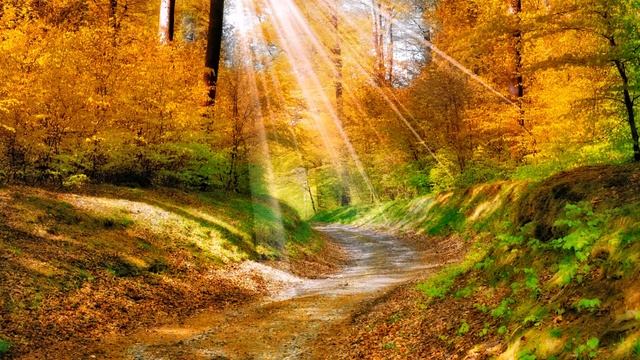 Природа - Осеннее настроение смотреть онлайн