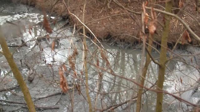 Состояние Белкиного моста сегодня и прямые сбросы нечистот в Мышегу продолжаются.31.03.2021. смотреть онлайн