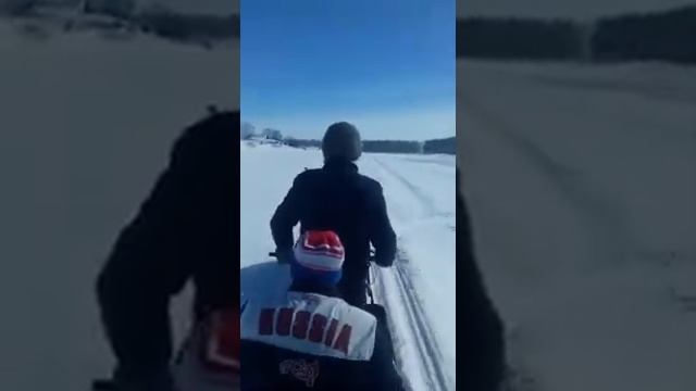 Покатушки на мото-собаке.Это было круто!!! смотреть онлайн