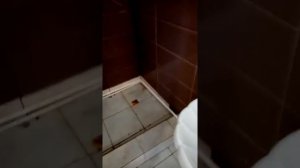 Рукожопые плиточники
