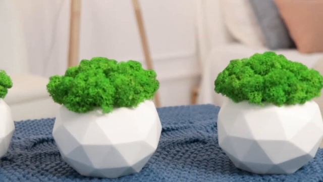 Декор кашпо со мхом в интерьере Ball white set trio