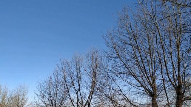 8 января праздник СОБОР ПРЕСВЯТОЙ БОГОРОДИЦЫ . народные традиции смотреть онлайн