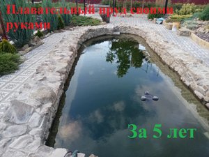 Плавательный пруд своими руками.