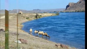 Любимому городу Капчагай посвящаю