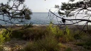 Дикий кемпинг в ЧЕРНОГОРИИ. ИЮЛЬ 2021 | Wild camping near ULCINJ