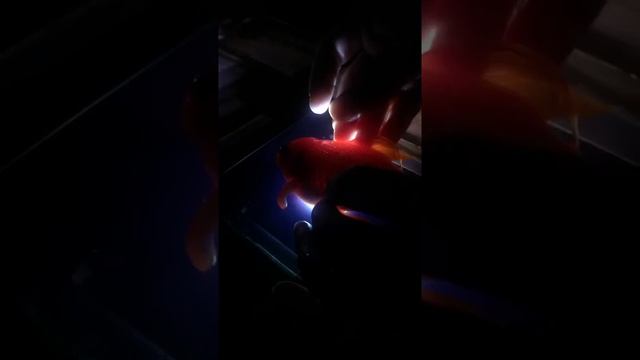 Upside down Goldfish Swim Bladder operation смотреть онлайн