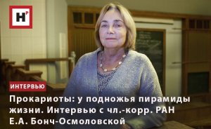 ПРОКАРИОТЫ: У ПОДНОЖЬЯ ПИРАМИДЫ ЖИЗНИ. ИНТЕРВЬЮ С ЧЛ.-КОРР. РАН Е.А. БОНЧ-ОСМОЛОВСКОЙ