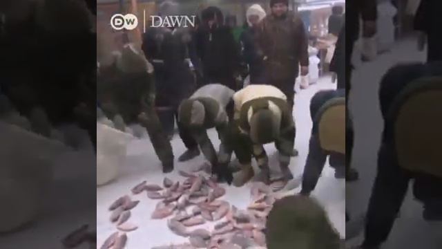 Siberia Region in Russia . смотреть онлайн