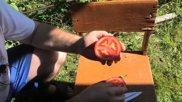 ? Томат Огонь F1 смотреть онлайн