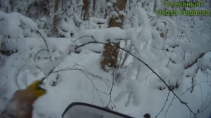 Второй день На Мотособаке по путику (1 часть) 29 12 23