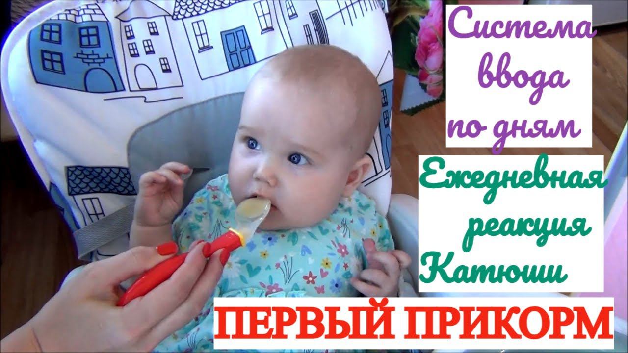 ПЕРВЫЙ ПРИКОРМ МОЯ СИСТЕМА ВВОДА РЕАКЦИЯ РЕБЁНКА