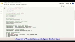 MIST101 Workshop 5-3: Using K-means for Image Compression