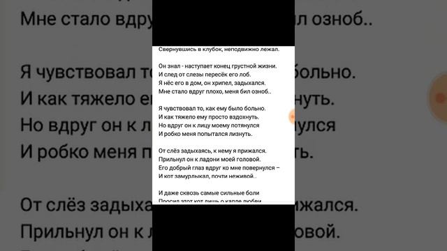 Стихотворение уродливый кот