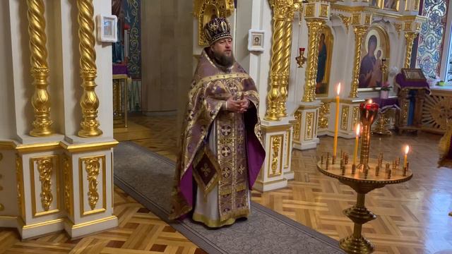 проповедь в 4-ю неделю Великого Поста смотреть онлайн