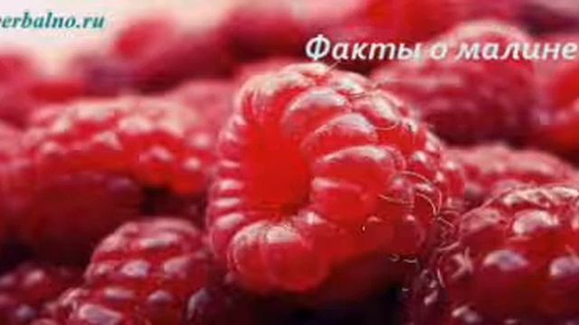 Приготовление натурального малинового сока