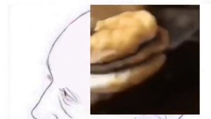 here kitty you can has cheeseburger