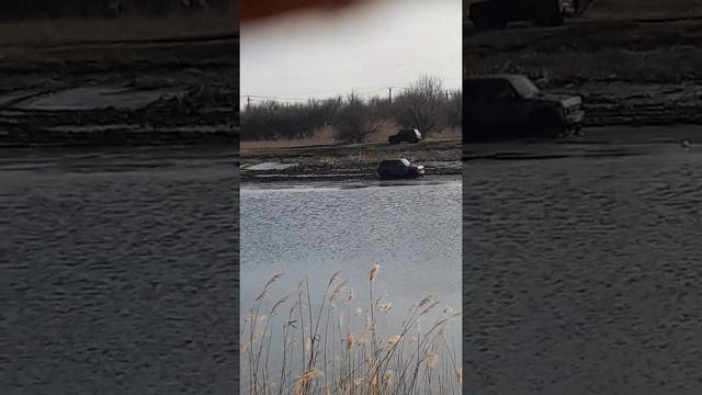 жесткий гряземес на Мёртвом Донце в Каратаево