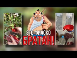 Жаль не засняла как я дальше поступила с этим божественным  напитком  #лёкадом #деревенскийдом