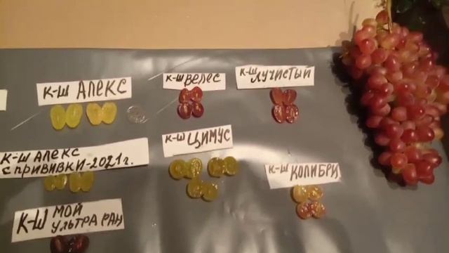 Обзор кишмишных сортов винограда, ягоды в разрезе 28 августа 2021.Виноградник Щереденкова В. А.