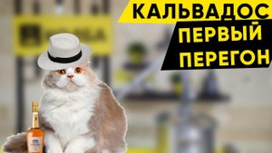 Первый перегон кальвадоса