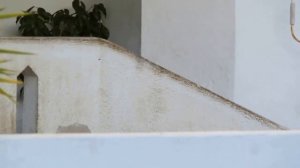 Старый Приятель - Все, кого ты любила