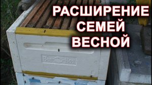 Весеннее расширение семей.