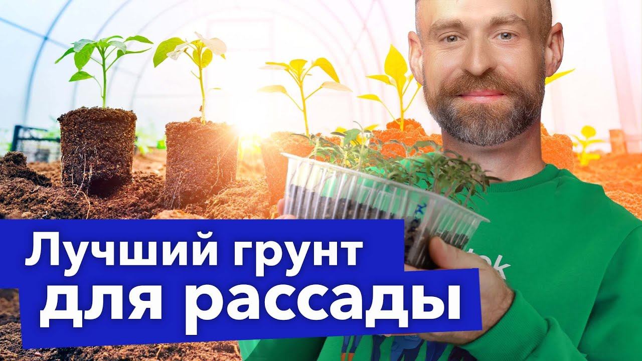 Почвочист отзывы