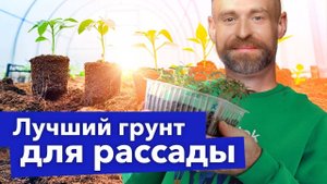 ИДЕАЛЬНЫЙ ГРУНТ ДЛЯ РАССАДЫ: без вредителей и болезней и даже подкормки больше не понадобятся!