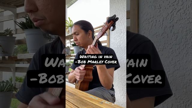 Ukulele reggae…#ukulele #ukulelecover #reggaemusic #reggae #bobmarley #jamaica #rasta #coversongs