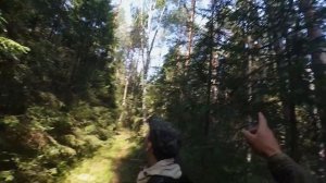 Трудовой рябчик. Охота в Вологодской области!