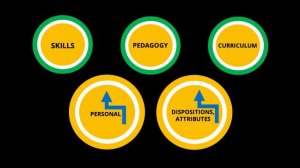 11. Digital Literacy (the theory)
