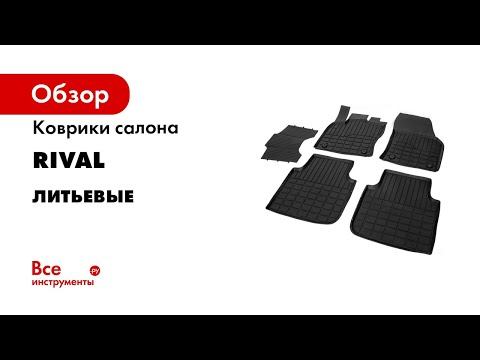 RIVAL Литьевые коврики салона автомобиля