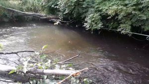 рыбалка на речке на гольяна,чубака,пескаря