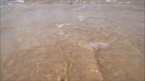 Пляж Золотые пески (Золотой берег) и таинственный детский лагерь в горах. Лермонтово,Туапсинский р-