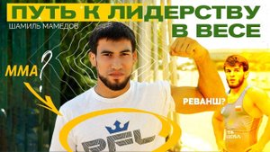 Шамиль Мамедов. Сможет ли Рашидов вернуть себе чемпионство? / Интервью