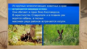 Красная книга Ставрополья