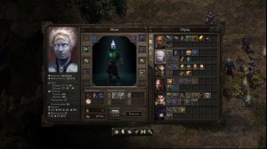 Pillars of eternity, Путь проклятых + испытание железом. Часть 8 (прощай монах)