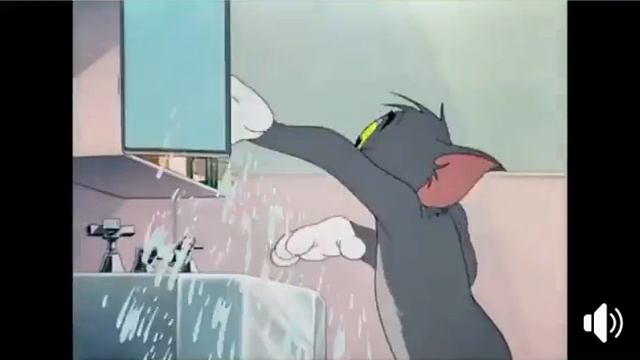 Кот боится короновируса смотреть онлайн