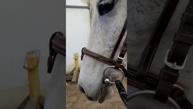 Наверное, это вопрос даже не то, чтобы спорный, а просто - каждому свое!