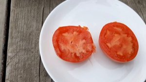 Монгольский  Карлик в бочках! И обзор редких томатов ???