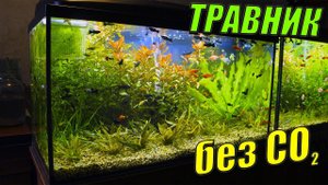 Мой аквариум травник без CO2 и удобрений!