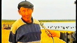 Масштабная Охота на Турпана в Якутии, Таас күөлгэ Андылааhын. Видеоархив