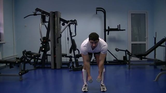 разведение гантелей в наклоне смотреть онлайн