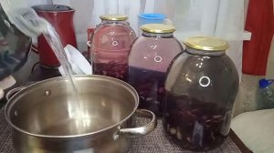 КОМПОТ ИЗ ВИНОГРАДА "ИЗАБЕЛЛА " насыщенный вкус, простое приготовление ????