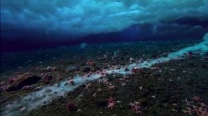 Губительная ледяная смерть под водой