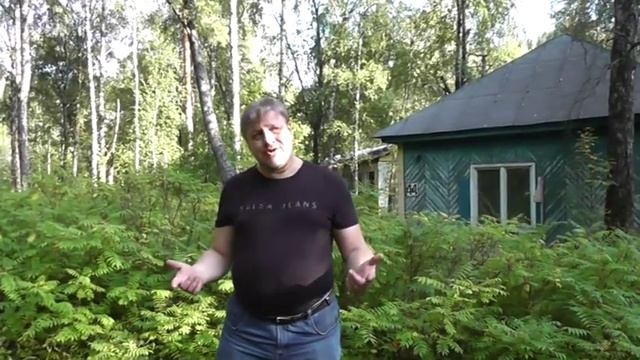 Отбивная из свиной корейки, с молоком, в кляре. Корейка станет нежной и превосходной.
