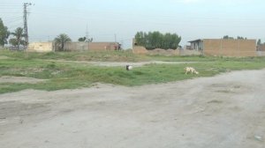 Panasonic HDC sd600 moded video test ! Panasonic full HD handycam hdc-sd600 moded